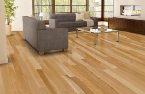 birch-hardwood-floor